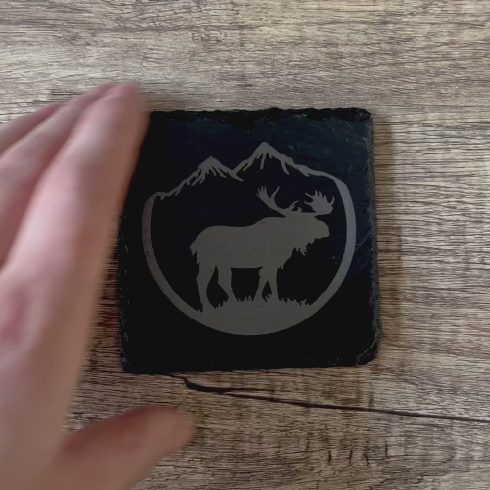 
                  
                    Charger et lire la vidéo dans la visionneuse de la galerie, Sous-Verre thème d&amp;#39;orignal dans la nature
                  
                